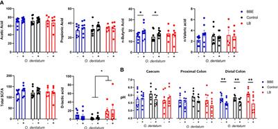 Parasite-Probiotic Interactions in the Gut: Bacillus sp. and Enterococcus faecium Regulate Type-2 Inflammatory Responses and Modify the Gut Microbiota of Pigs During Helminth Infection